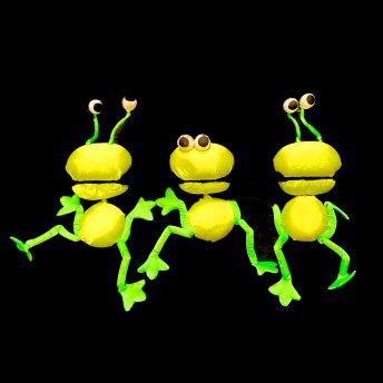 Frog Chorus